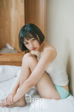 22楼的姑娘们电视剧全集免费播放